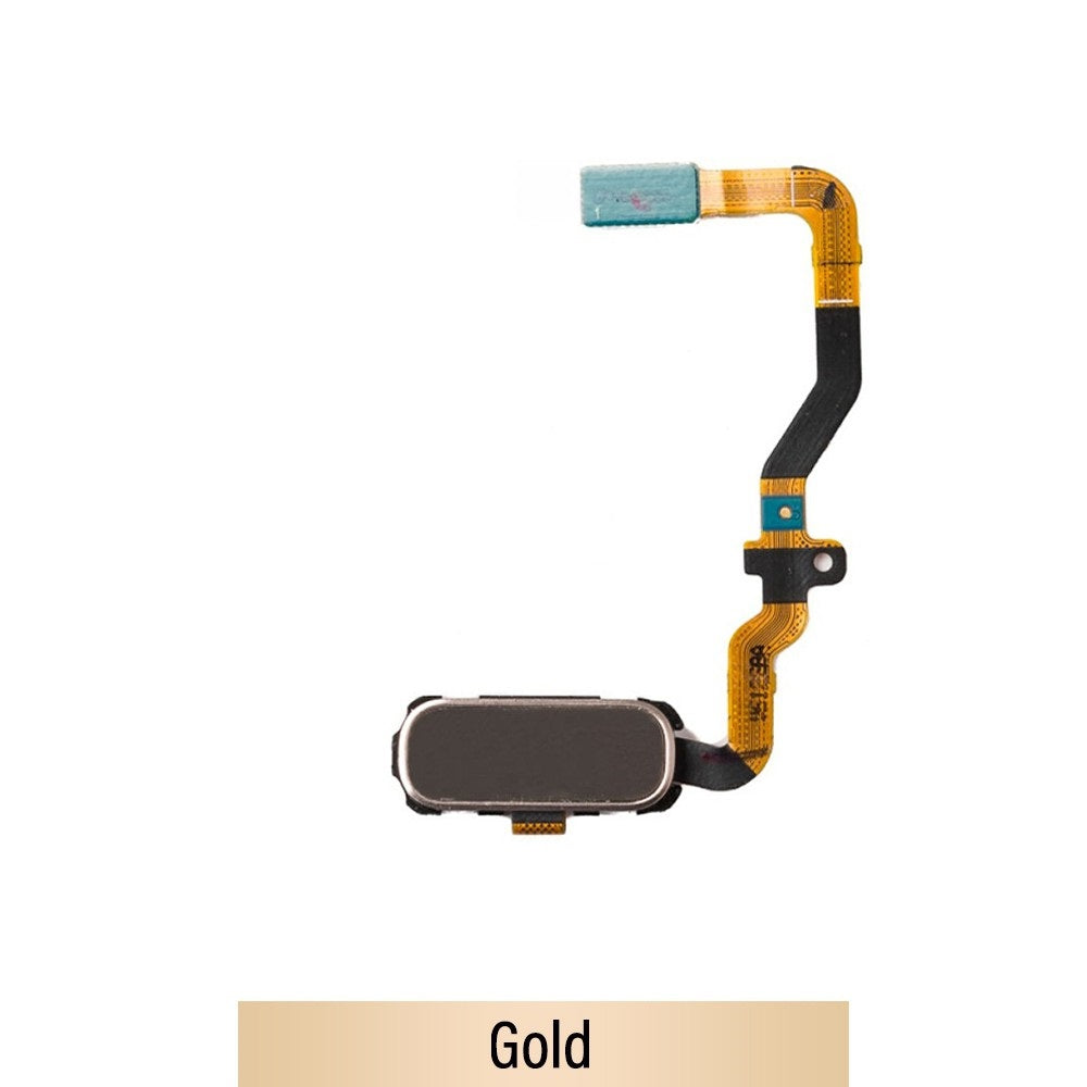 Home Button Flex Cable with Touch ID for Samsung Galaxy S7 Edge G935F (Purple)-Gold Home Button Flex Cable with Touch ID for Samsung Galaxy S7 Edge G935F (Purple)-Gold